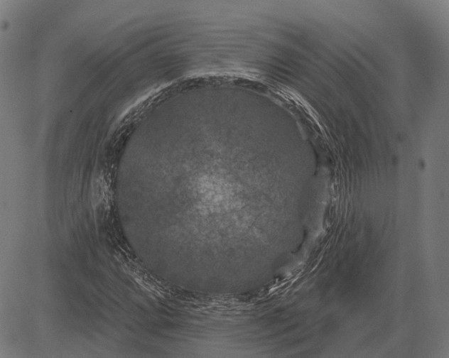 X0000081461064200702021802