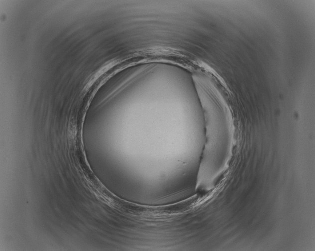 X0000081461065200702021802