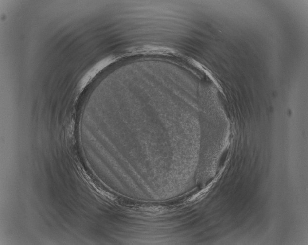 X0000081461066200702021802