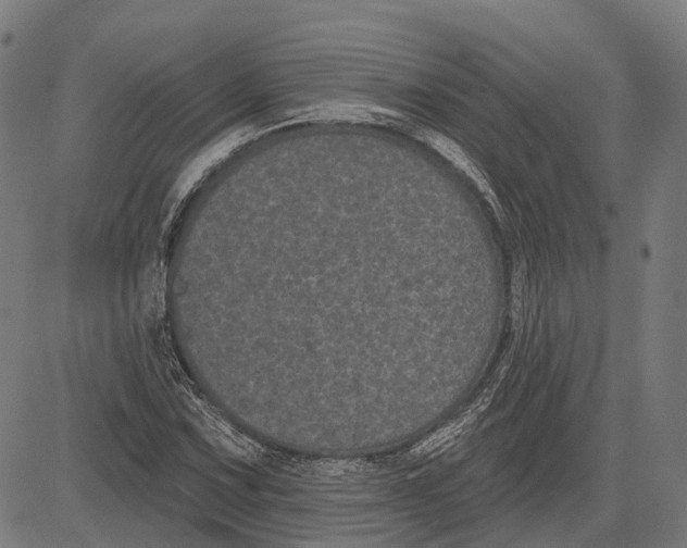 X0000081461067200702021802