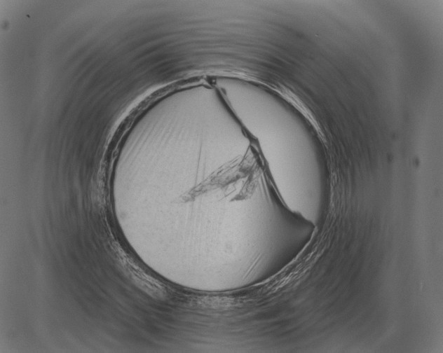 X0000081461068200702021802