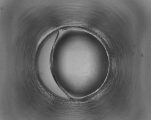 X0000081461069200702021802