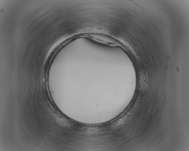 X0000081461070200702021801