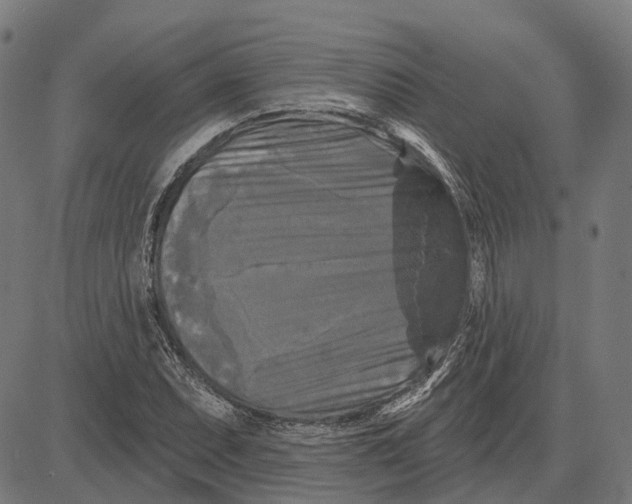 X0000081461071200702021801