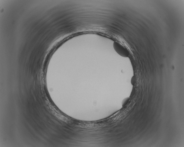 X0000081461072200702021801