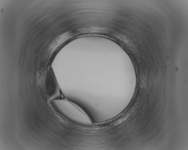 X0000081461073200702021801