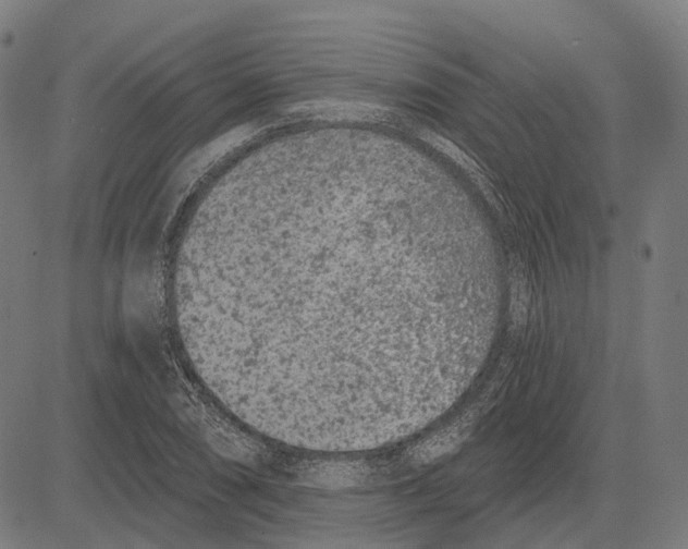 X0000081461074200702021801