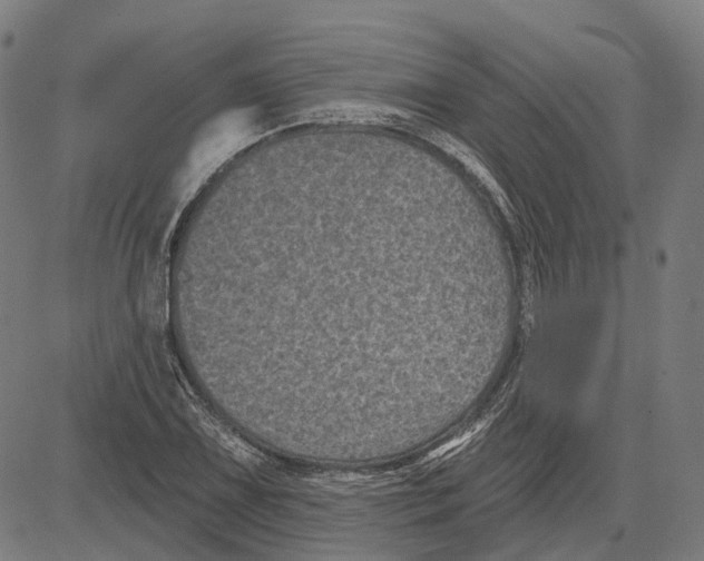 X0000081461075200702021801