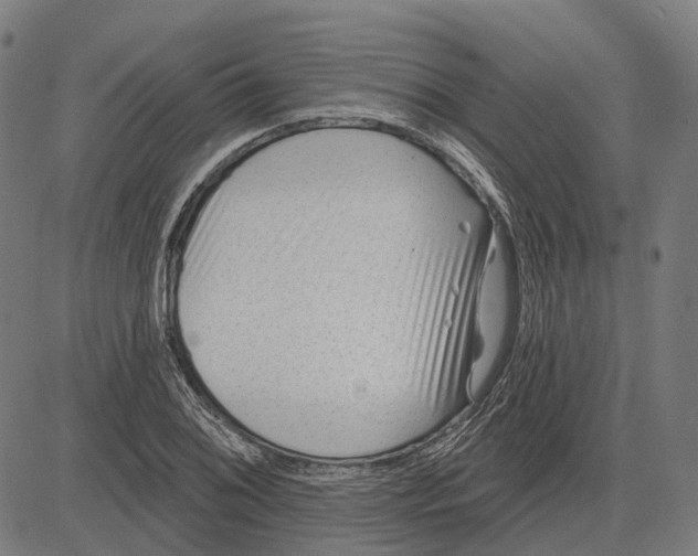 X0000081461076200702021801