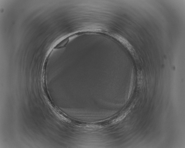 X0000081461077200702021801