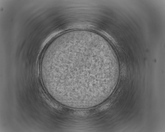 X0000081461078200702021801