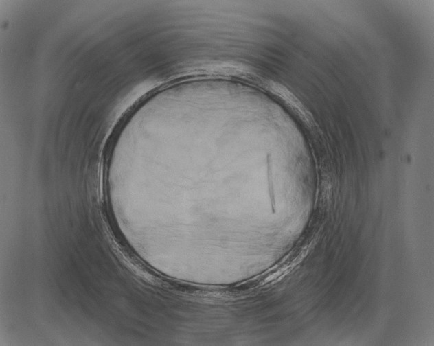 X0000081461079200702021801