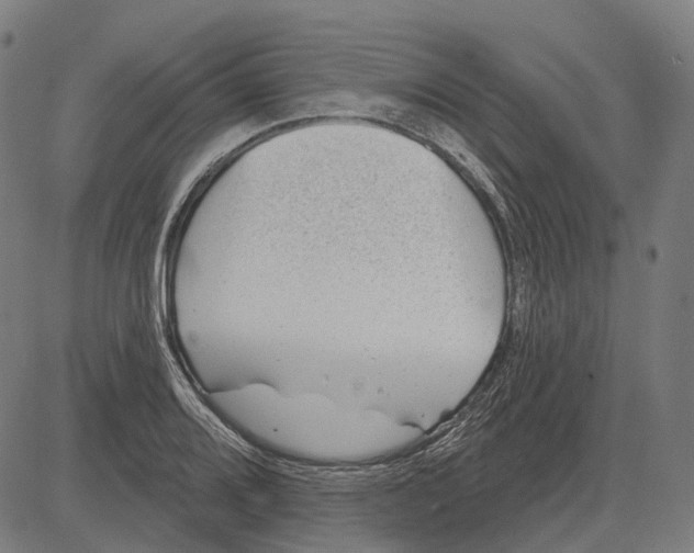 X0000081461080200702021801