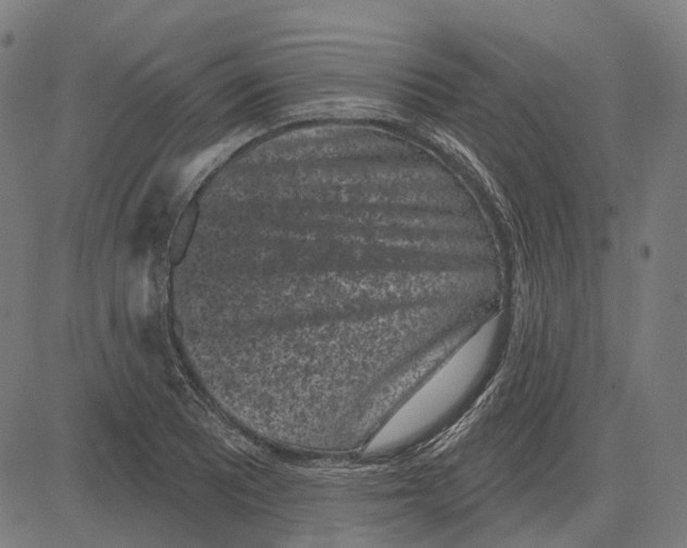 X0000081461081200702021801