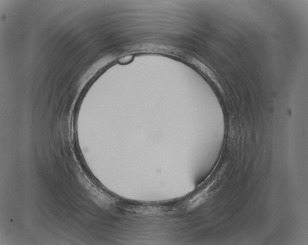 X0000081461082200702021801