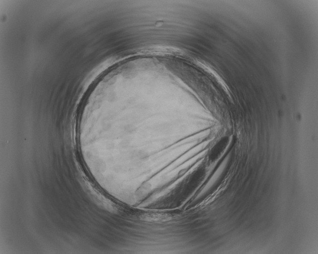 X0000081461083200702021801