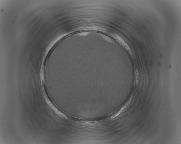 X0000081461084200702021801