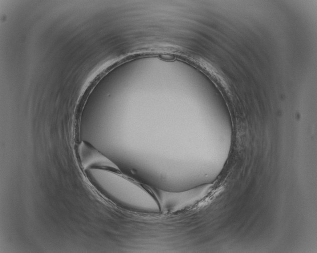 X0000081461085200702021801