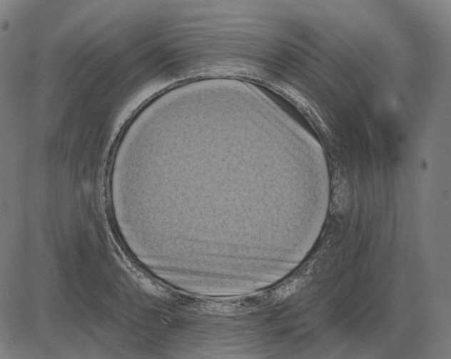 X0000081461086200702021801