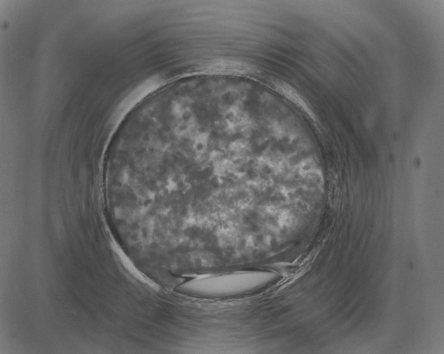 X0000081461087200702021801