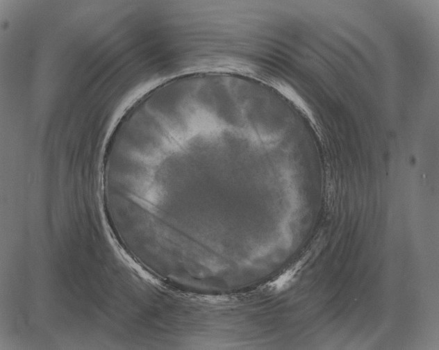 X0000081461088200702021801