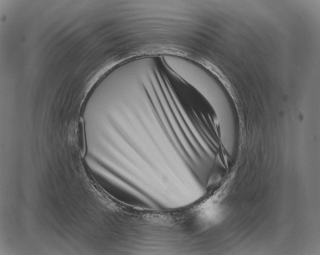 X0000081461089200702021801