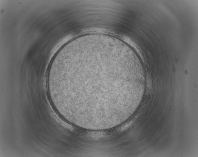 X0000081461090200702021801