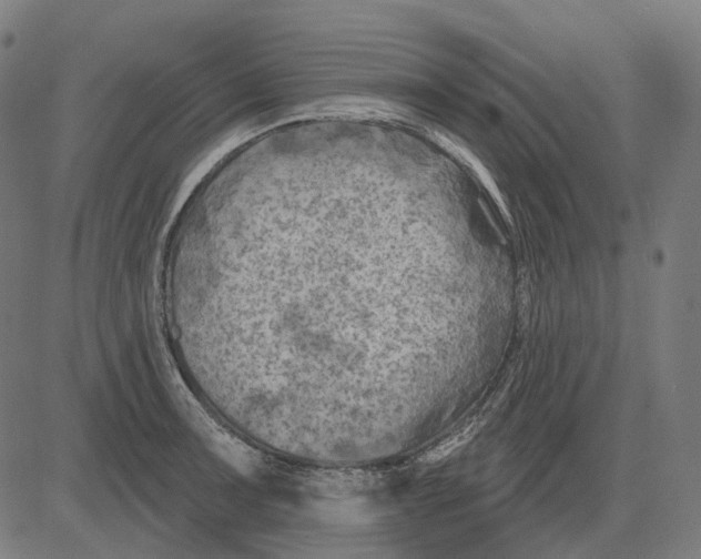 X0000081461091200702021801