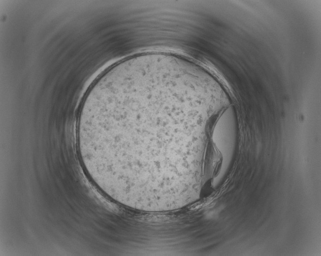 X0000081461092200702021801