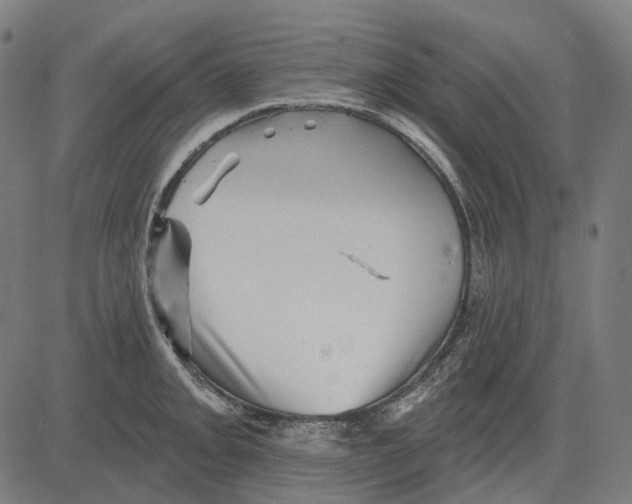 X0000081461093200702021801