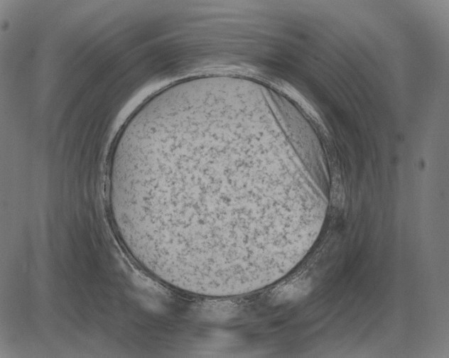 X0000081461094200702021801