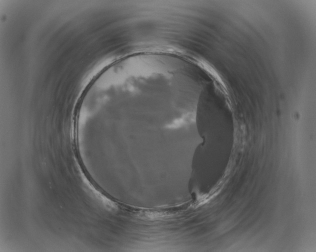 X0000081461095200702021801