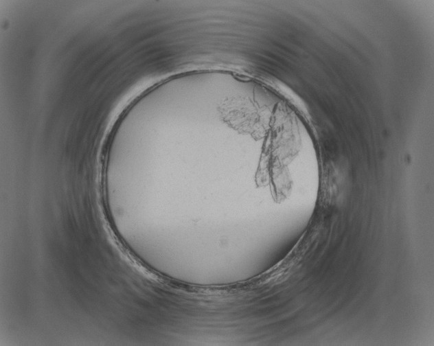 X0000081461096200702021801