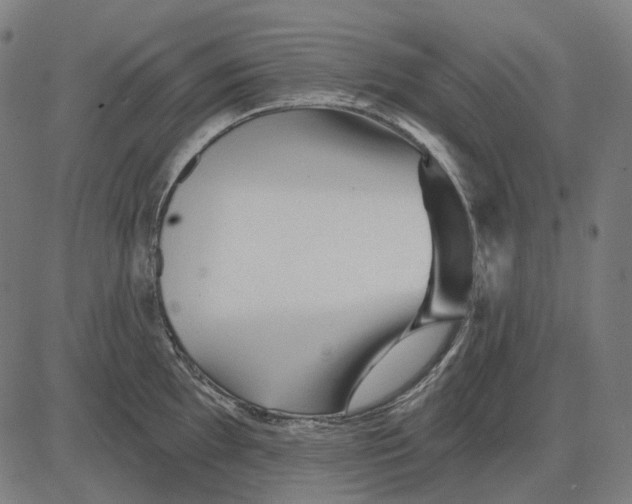 X0000081461097200702021801