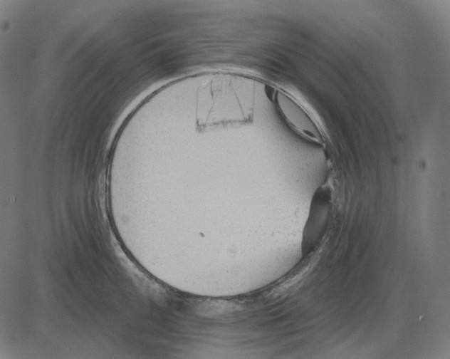 X0000081461100200702021801