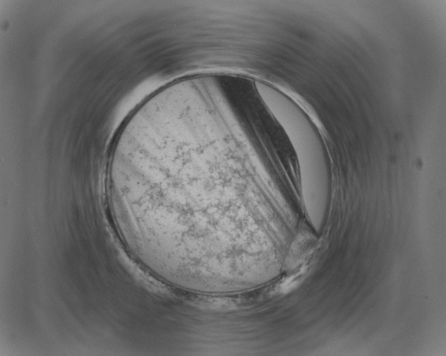 X0000081461101200702021801