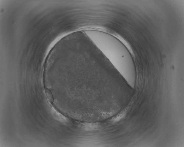 X0000081461102200702021801