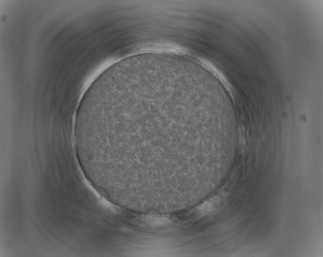 X0000081461103200702021801