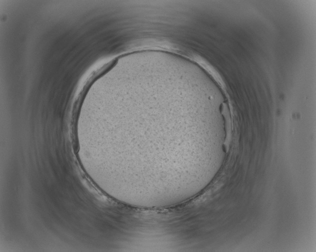 X0000081461104200702021801