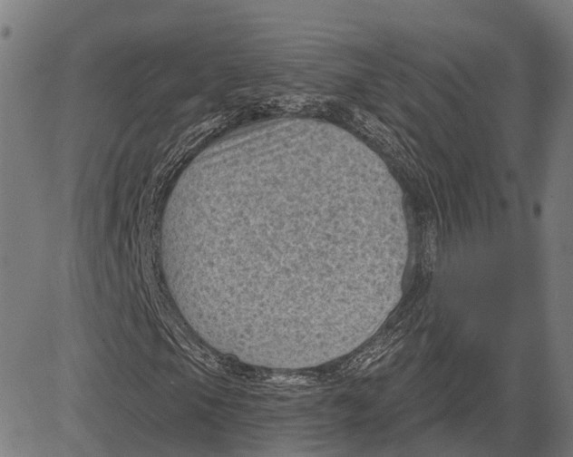 X0000081461105200702021800