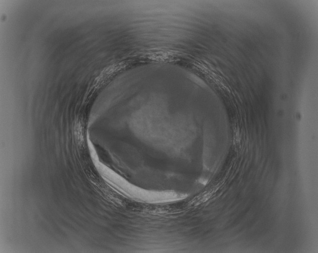 X0000081461106200702021800