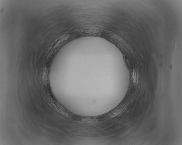 X0000081461107200702021800