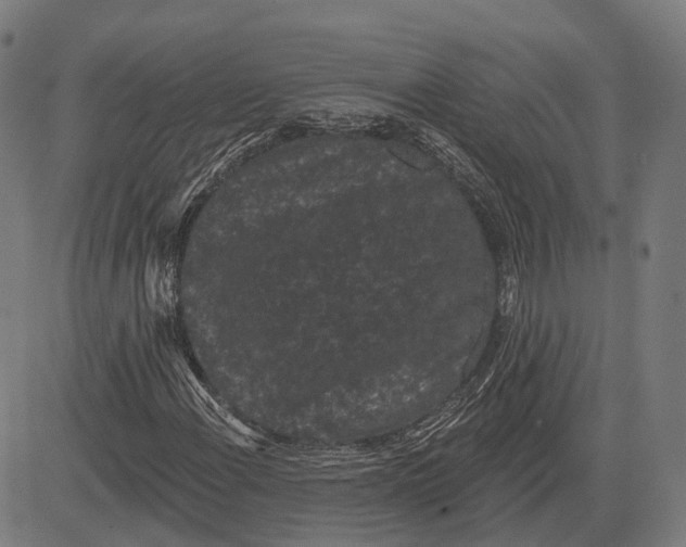 X0000081461108200702021800