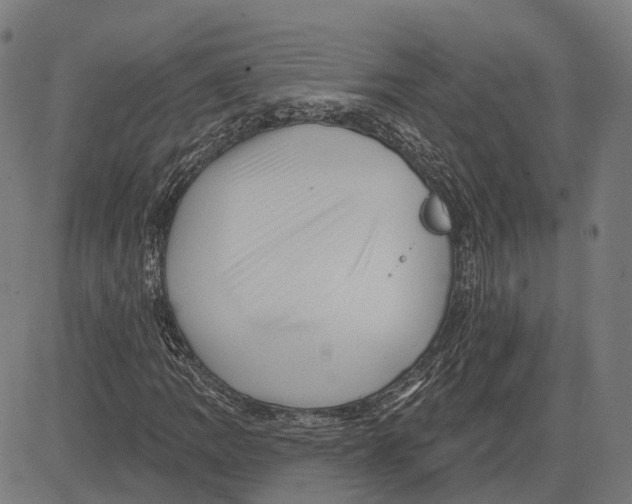 X0000081461109200702021800