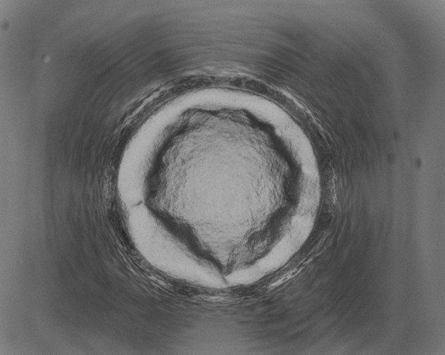 X0000081461110200702021800