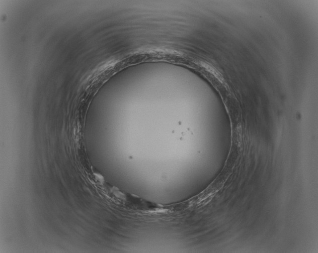 X0000081461111200702021800