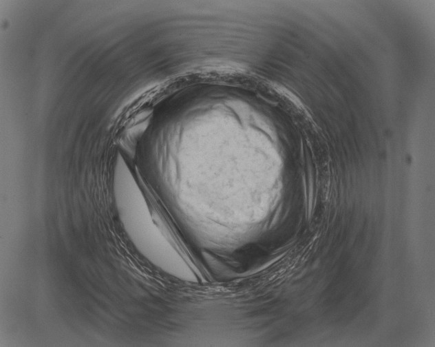 X0000081461112200702021800