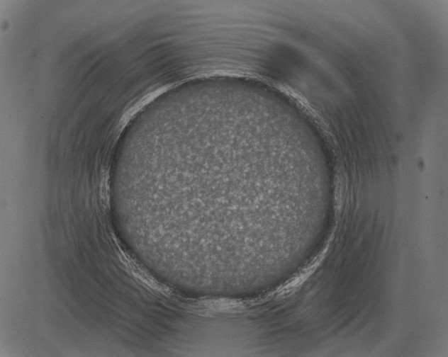 X0000081461113200702021800