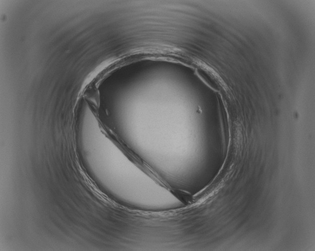 X0000081461114200702021800