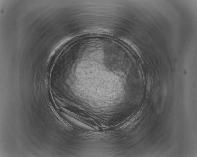 X0000081461115200702021800